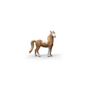 Giumenta Mustang Horse Club...