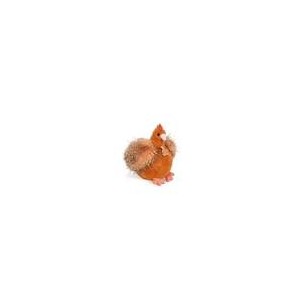 Gallina morbida arancione...