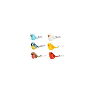 Assortimento uccelli...