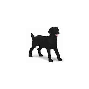 Labrador cane femmina nera...