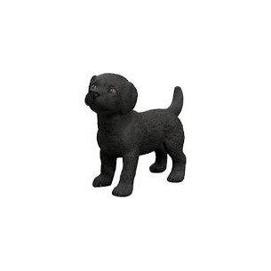 Cucciolo di Labrador nero...