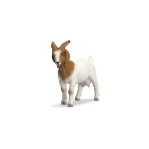 Capra Boera Schleich 14929
