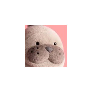 Leone marino di peluche... 2