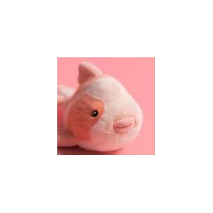 Carpa pesce di peluche... 2