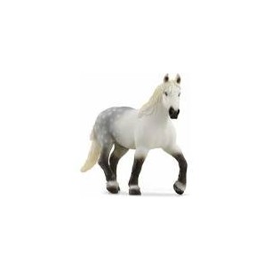 Giumenta Percheron...