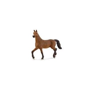 Giumenta Oldenburger Horse...