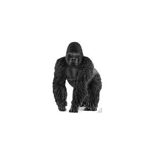Gorilla maschio Wild Life...