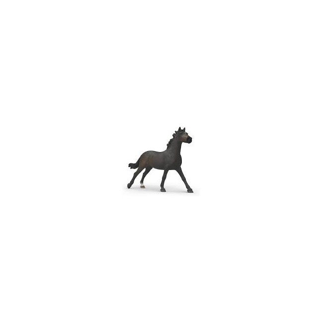 Giumenta purosangue inglese Horse...