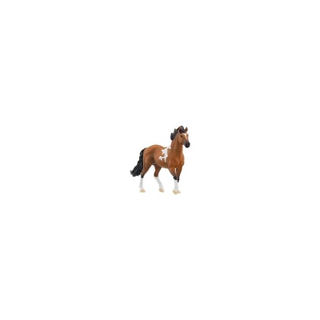 Stallone Mangalarga Marchador Horse...