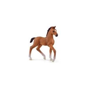 Puledro Oldenburg Horse...