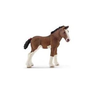 Puledro Clydesdale Farm...