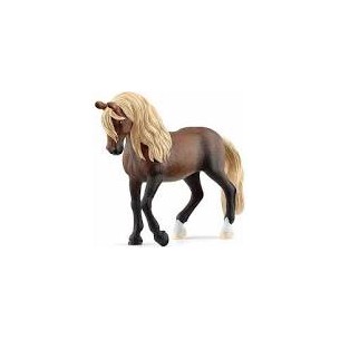 Stallone Paso Peruano Horse...