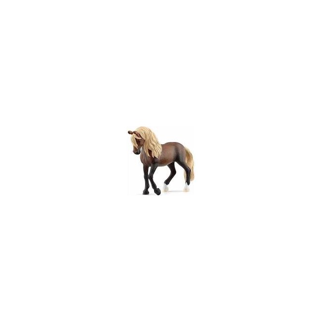 Stallone Paso Peruano Horse Club...