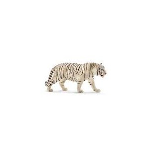 Tigre bianca Wild Life...