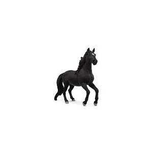 Stallone lusitano Horse...