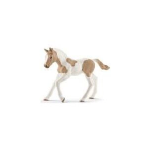Puledro Paint Horse Horse...
