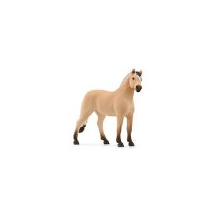 Castrone Fjord Horse Club...