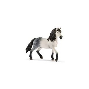 Stallone andaluso Horse...
