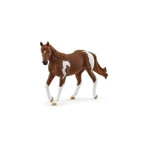 Giumenta Paint Horse Horse...