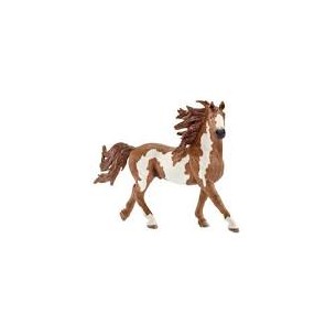 Stallone Pinto Farm World...