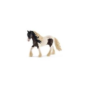 Cavallo Stallone Tinker...