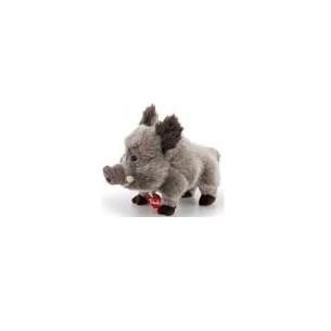 Cinghiale Levante di...