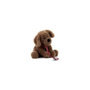 Cane Lagotto bruno con...