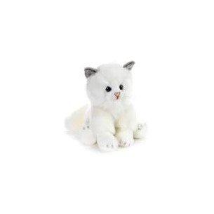 Gatto bianco seduto di...