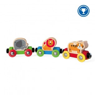 Treno viaggio nella giungla...