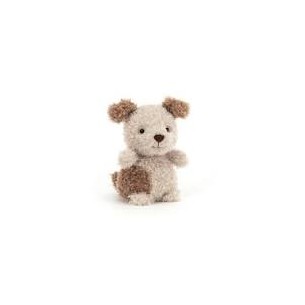 Cagnolino little Pup di...