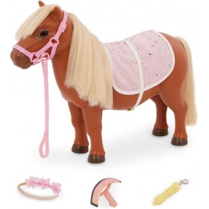Shetland Pony - Our generation