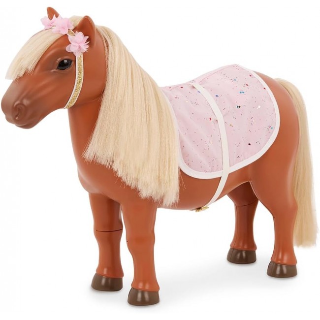 Shetland Pony - Our generation