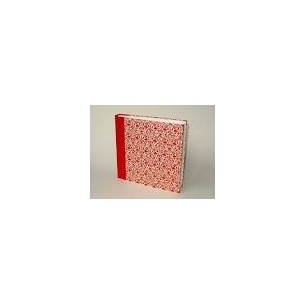 ALBUM  IN CARTA VARESE                 